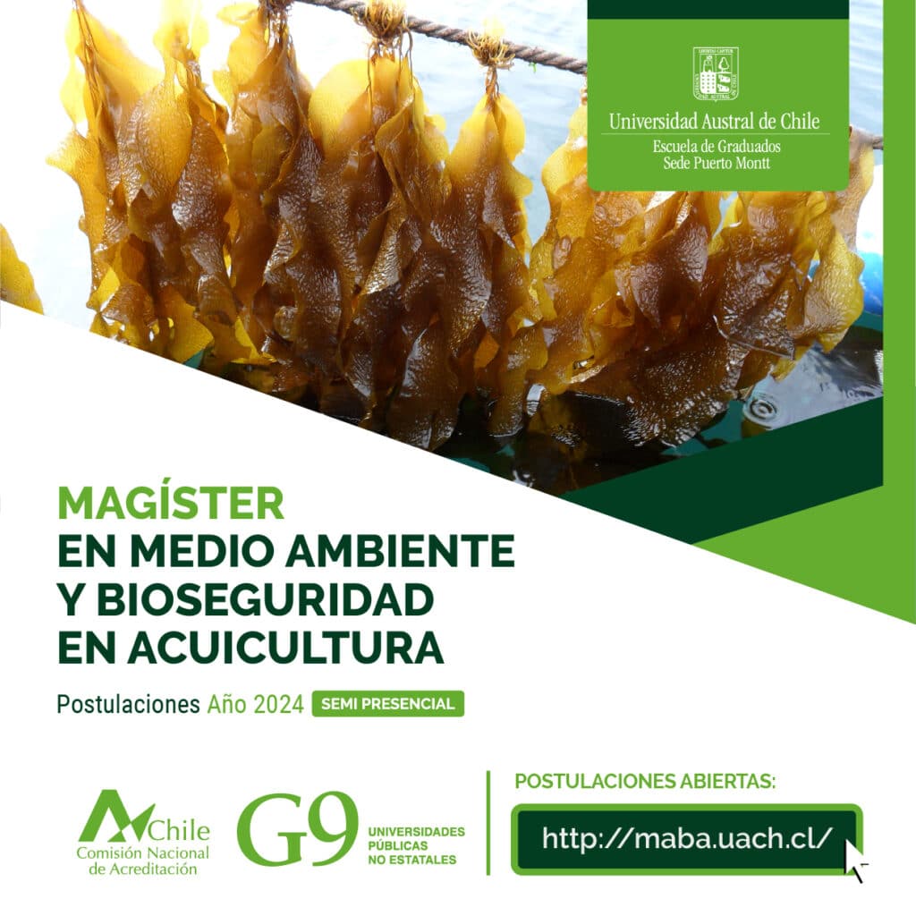 Magíster en Medio Ambiente y Bioseguridad en Acuicultura UACh realiza último llamado a postulaciones 2024